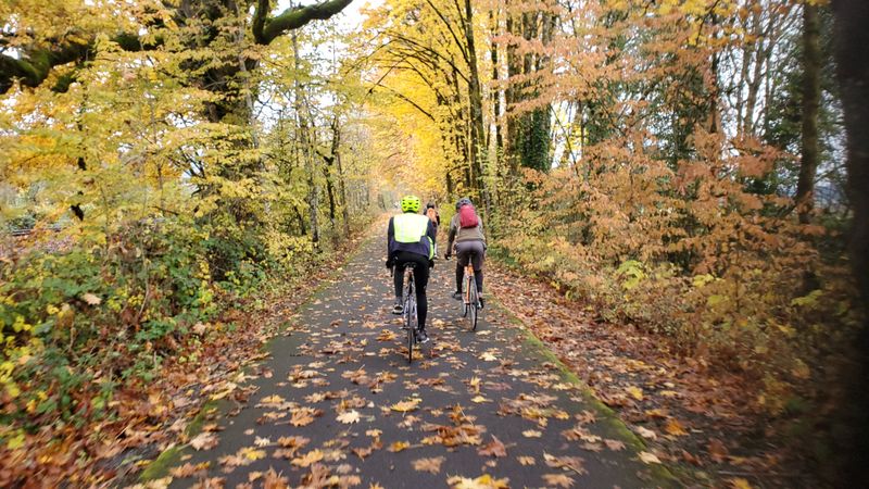 Multi-Use Path for Various Activities