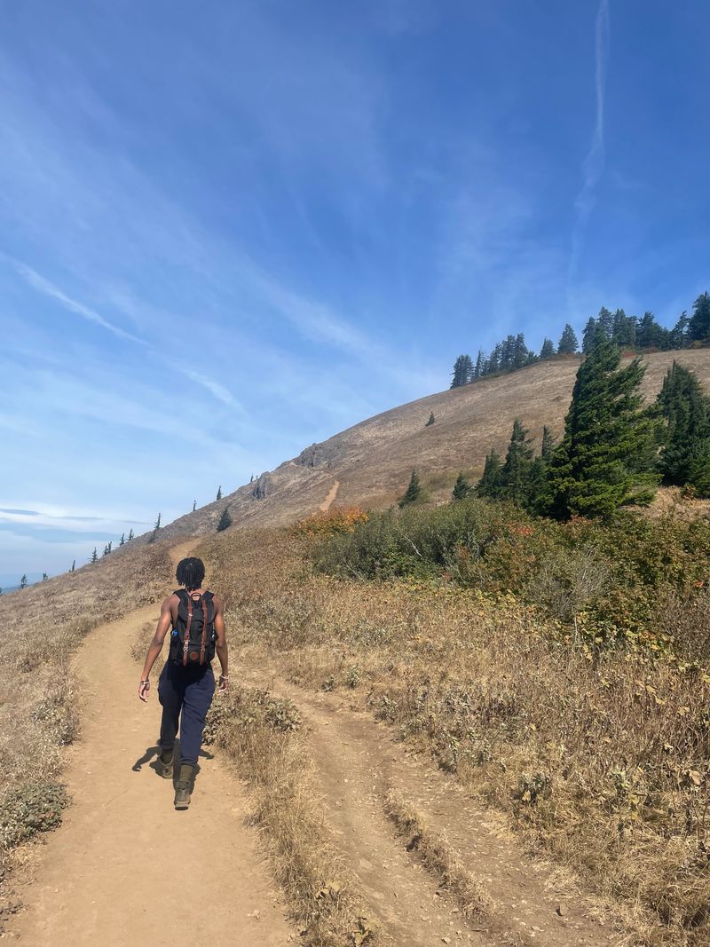 Surreal Wind-Swept Summit