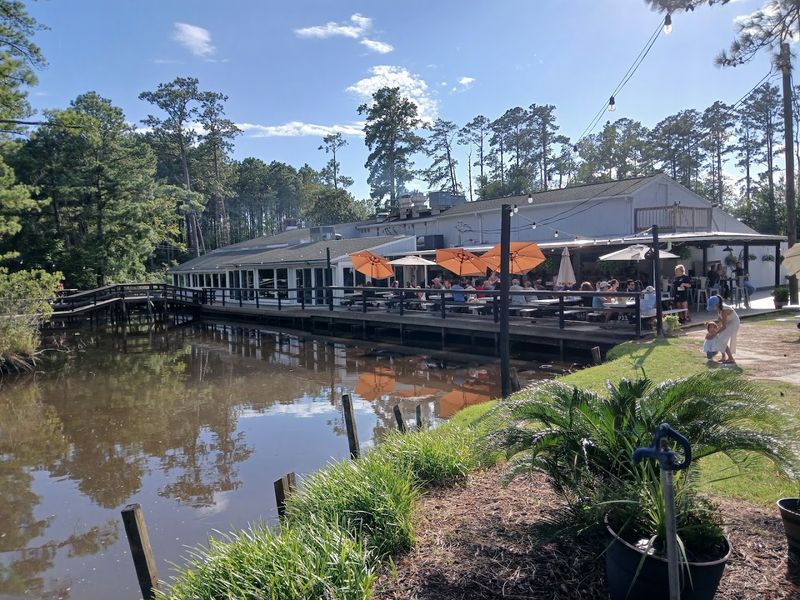 Finding Your Way To This Pungo Paradise