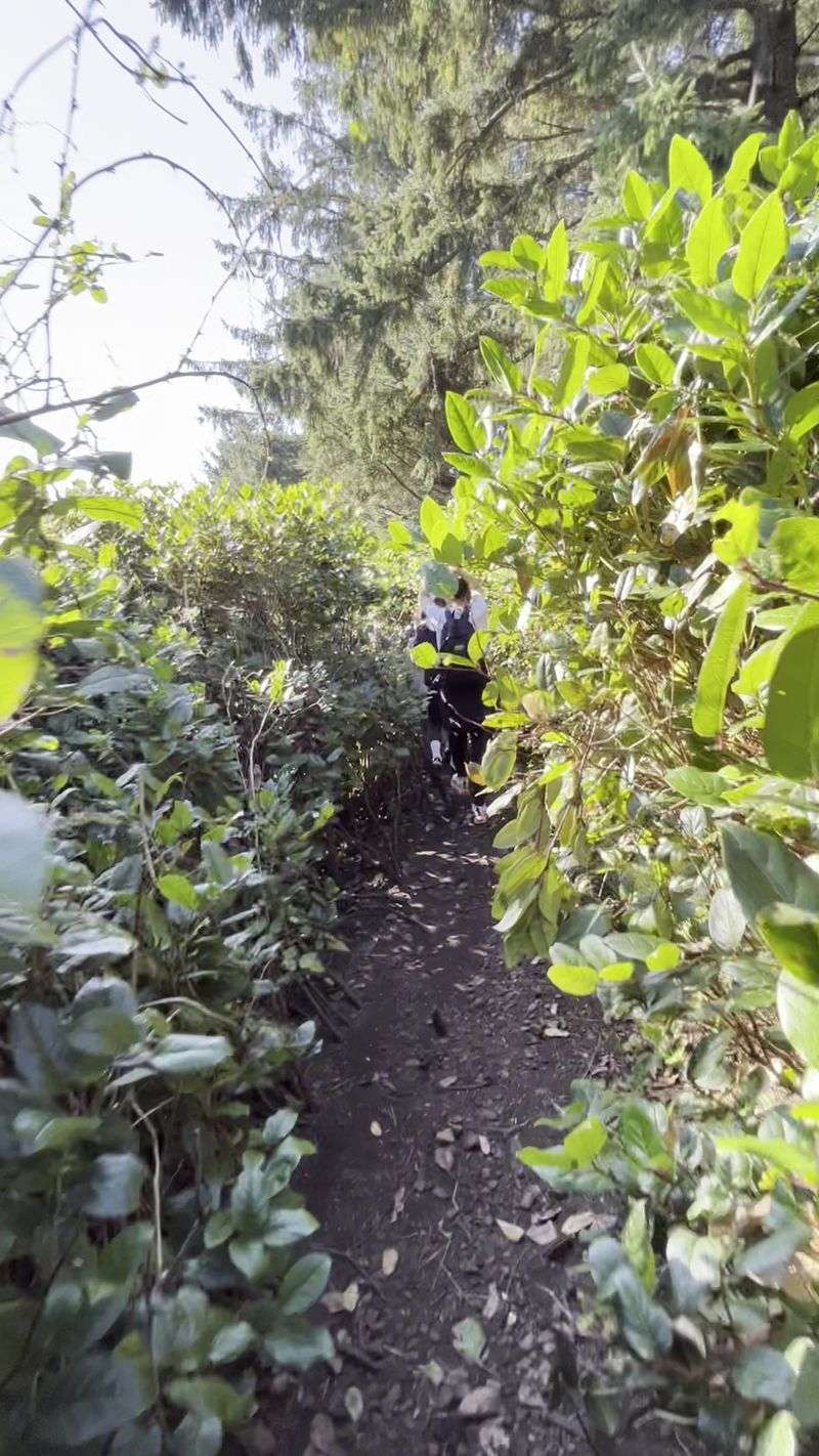 Trail Conditions and What to Expect Underfoot