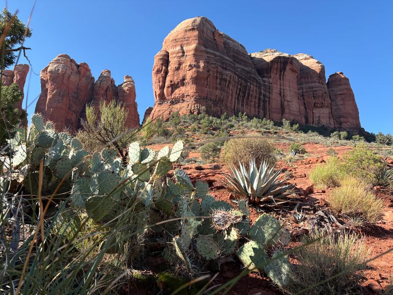 Cathedral Rock Trail