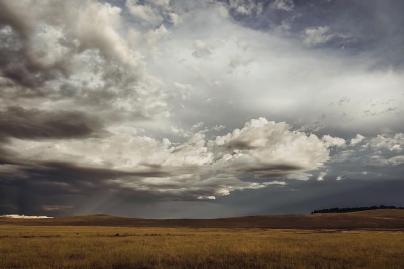 Overnight Among Prairie Lights And Snow Crystals