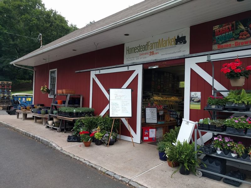 Visiting the Marshall Street Farmers Market