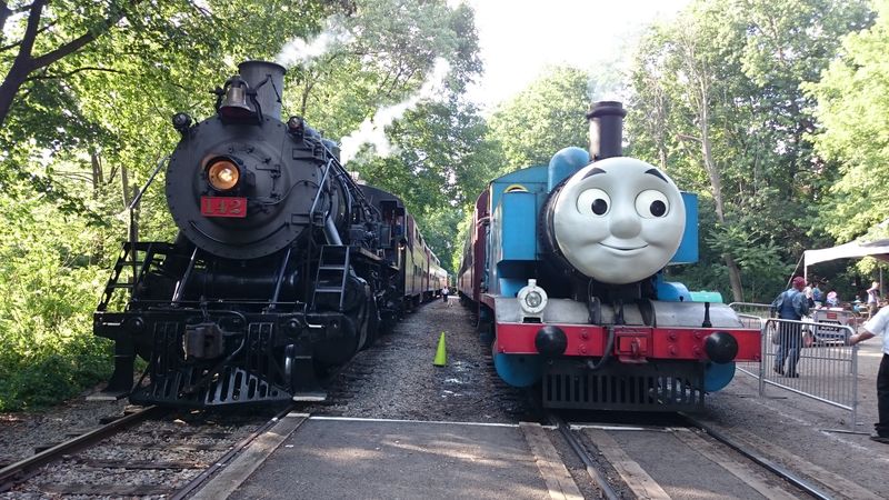 Friendly Staff Who Make Every Journey Special