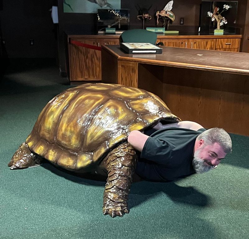 Interactive Play Areas Keep Little Hands Busy