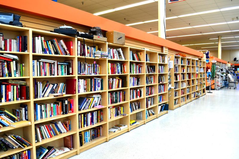 Organized Sections Make Treasure Hunting Actually Fun