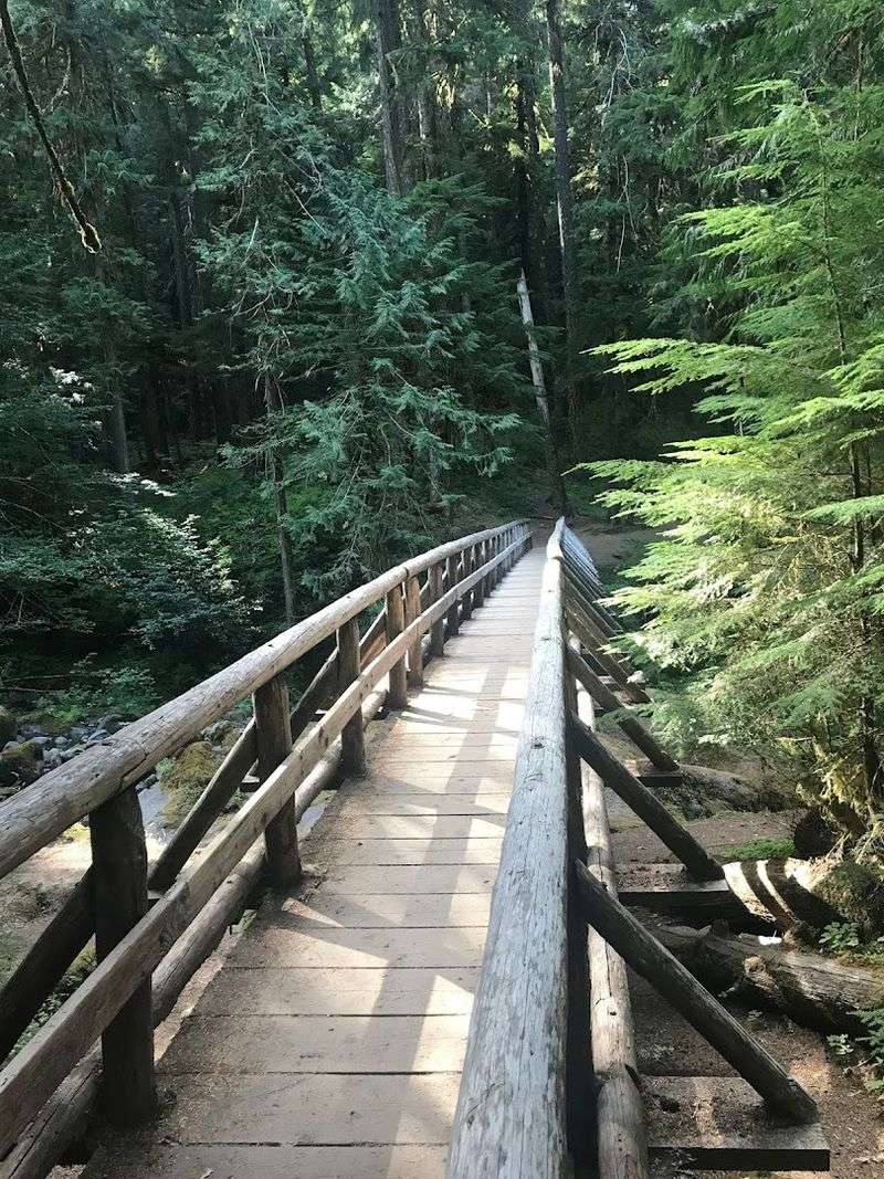 The Scenic Trail Journey In