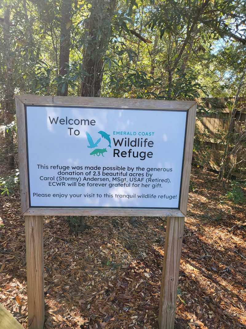 Trail Damage From Increased Foot Traffic