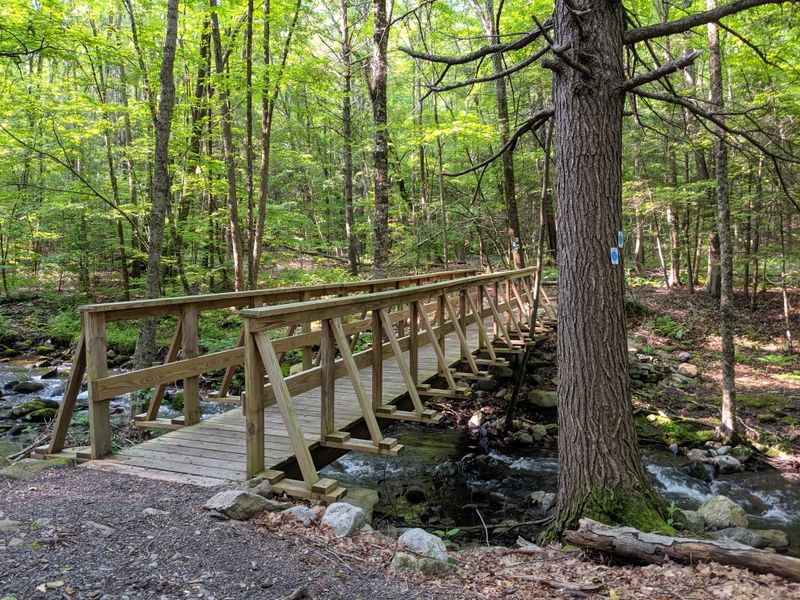 Miles Of Hiking Trails For Every Skill Level