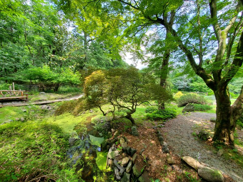 Completely Free Admission