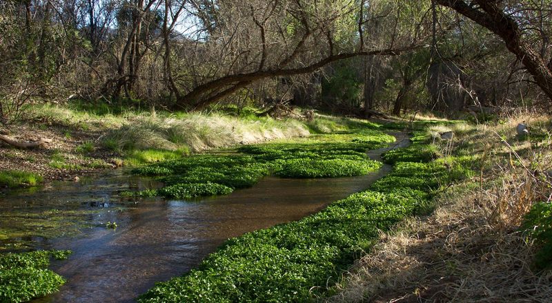 Nature Access Sits Just Outside Town