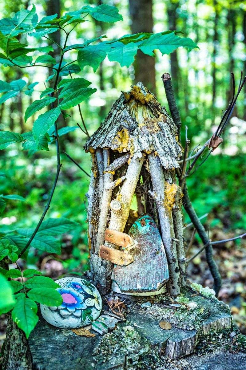 Perfect Introduction to Hiking for Little Adventurers