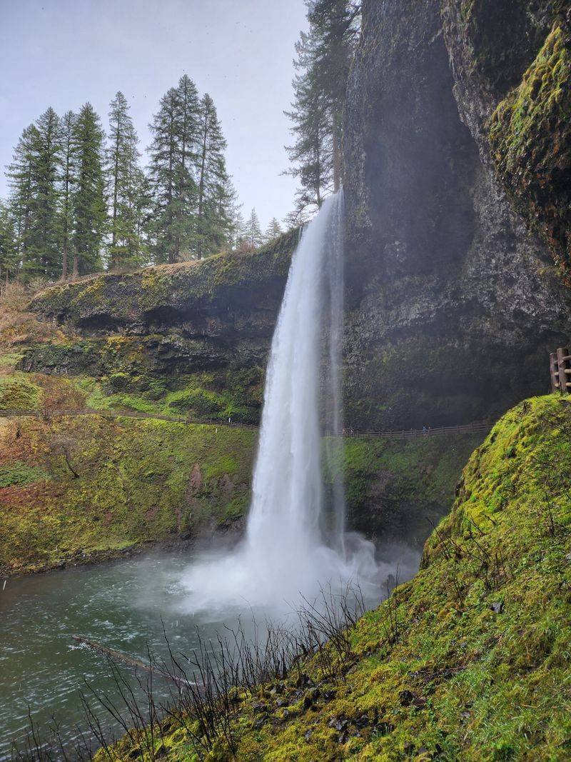 Trail of Ten Falls, Silver Falls State Park