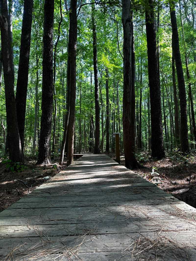 Loop Trail Combines Forest and Beach Environments