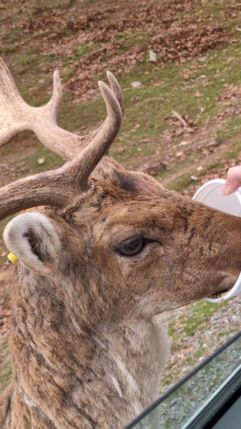 Feed Buckets Become Your Most Valuable Currency