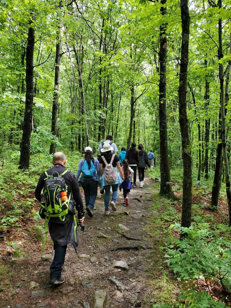 Appalachian Trail Junction