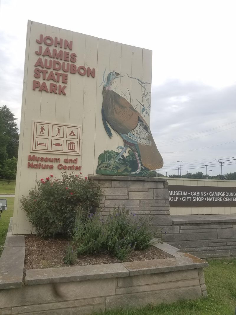 Birdlife Makes It Feel Like Something Is Always Watching