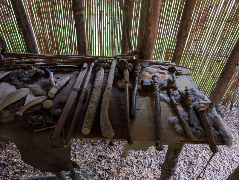 The Museum Collection That Tells Complete Stories