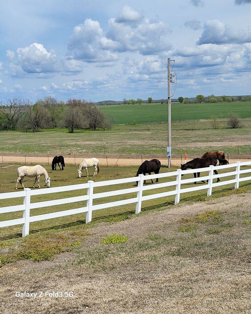 A Peaceful Setting That Slows Down Time