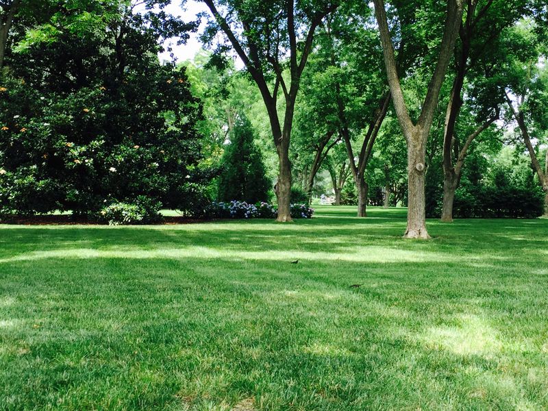Peaceful Residential Streets and Gardens