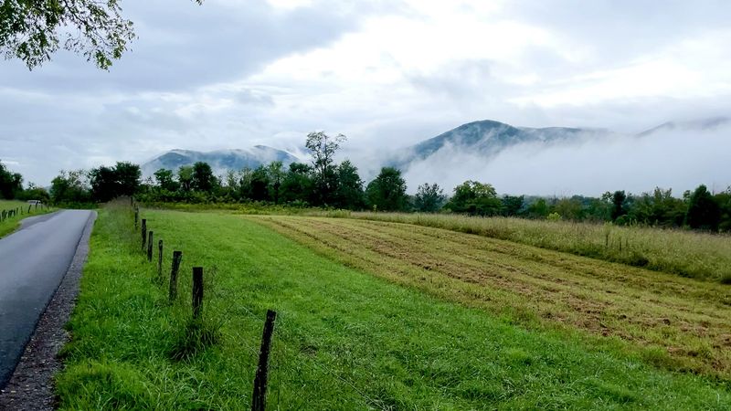 Cades Cove Day Trips Without The Busy-Town Chaos