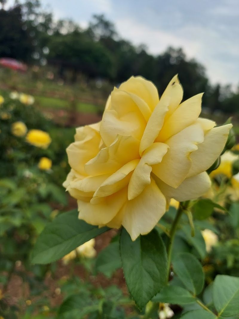 A Slow Morning Itinerary That Keeps The Day Feeling Light