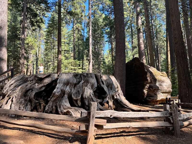 A Perfect Escape From Crowded California Parks