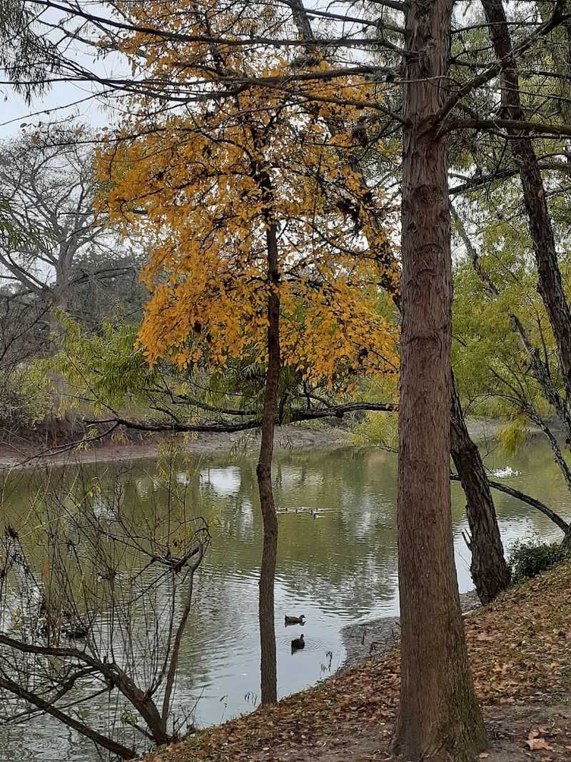 Hidden Swimming Spots for Hot Texas Days