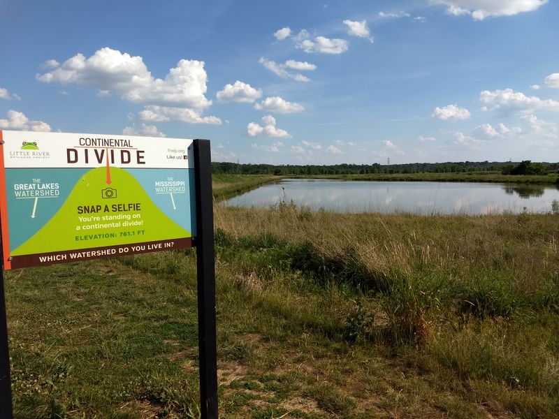 Native Wildlife Thrives in Protected Habitat