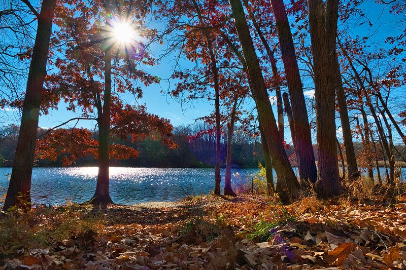 Picnic Perfection in Natural Settings