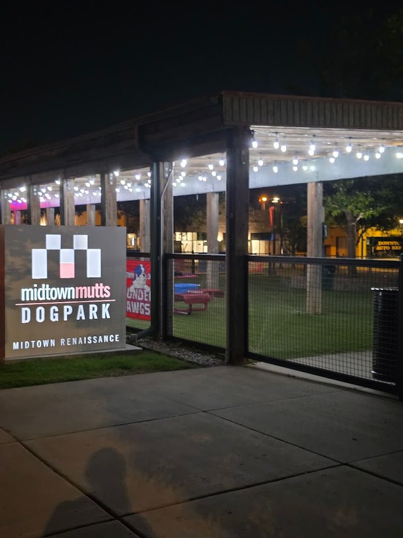 Midtown Mutts Dog Park, Oklahoma City