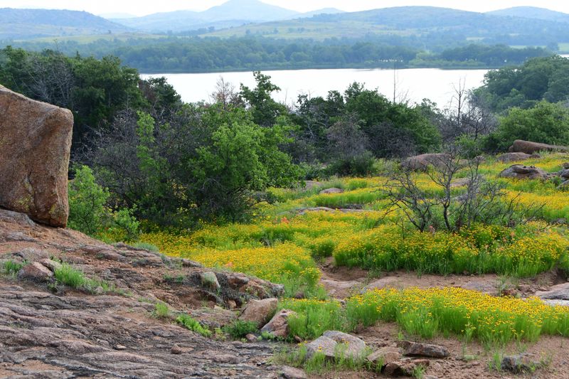 Camping Under Stars You Forgot Existed