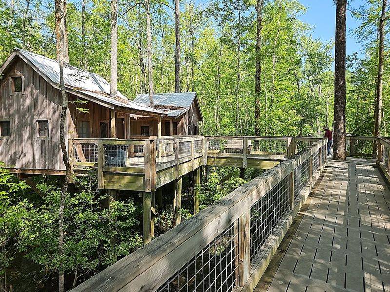 Cashie River Treehouses And Campground (Windsor) 