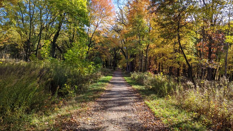 Hidden Pond Woods