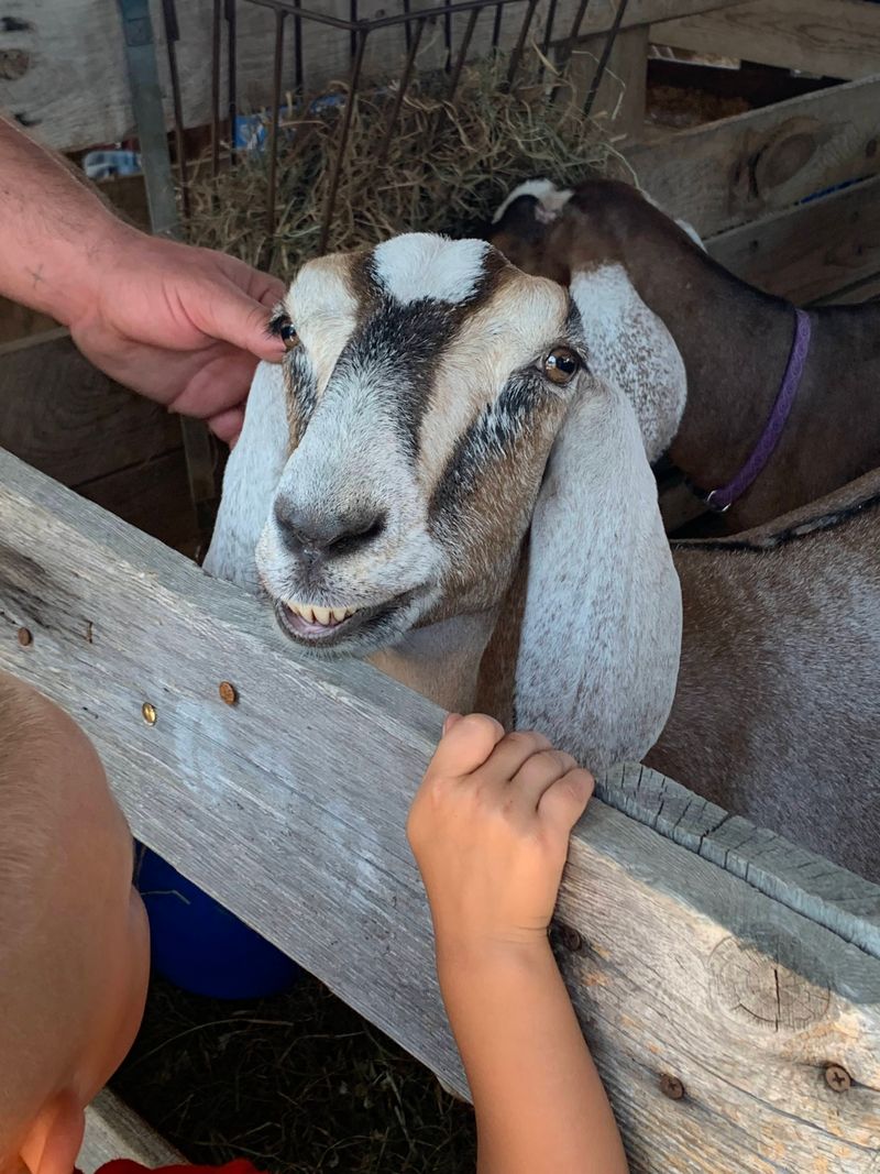 Agricultural Roots Keep The Place Grounded