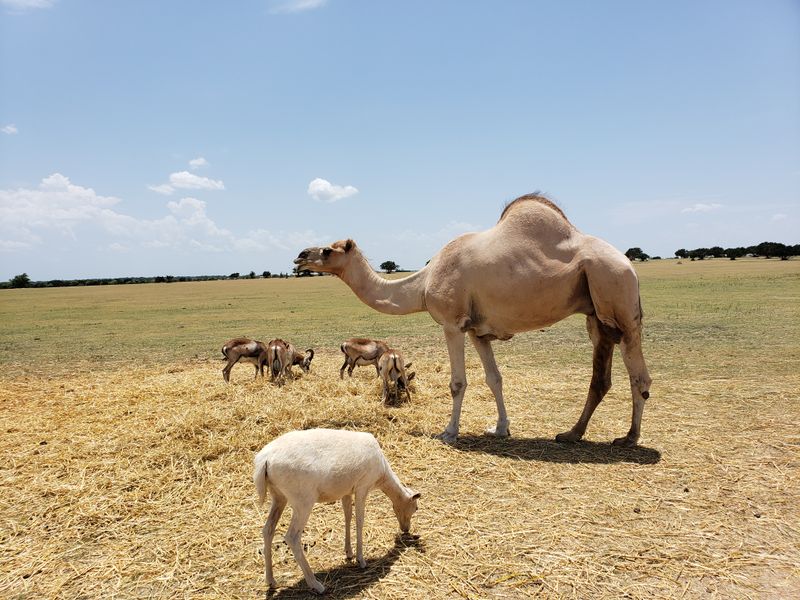 Feeding Stations That Keep Things Interactive