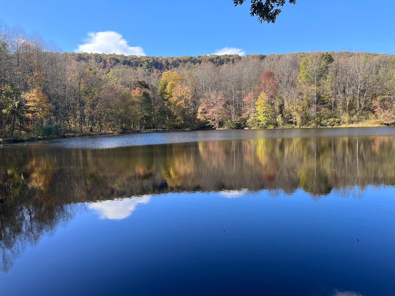 Sweet Run State Park Peaceful Escape