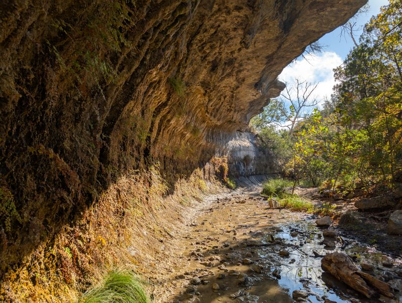 Lost Maples State Natural Area