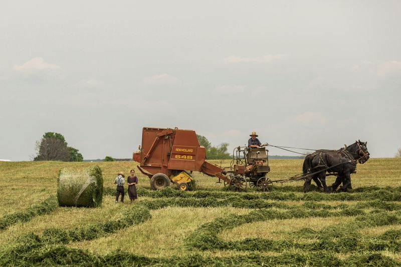 Economic Benefits Support Farm Preservation
