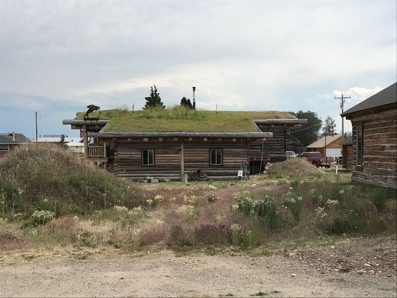 Bingo Night Feels Like A Headline Event