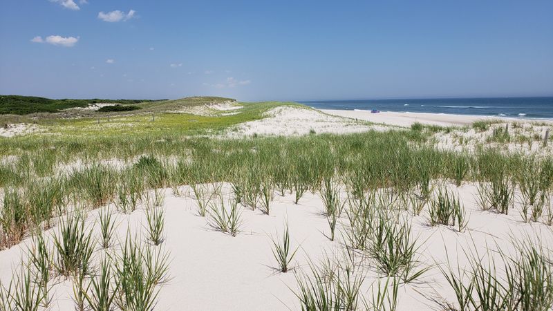 Ten Miles of Untouched Shoreline That Feels Like Your Private Paradise