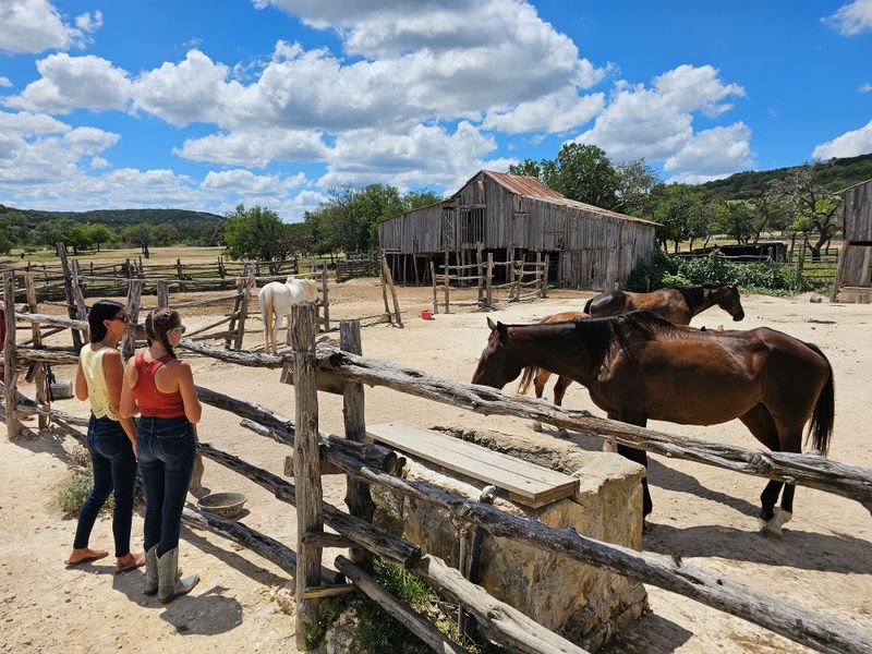 Meeting the Horses That Make It All Possible