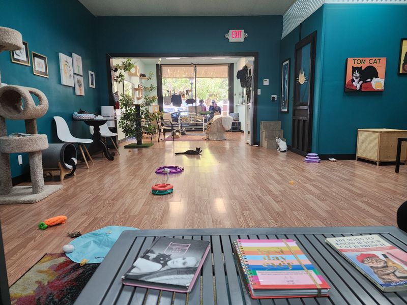 Spotless Cleanliness Sets the Standard