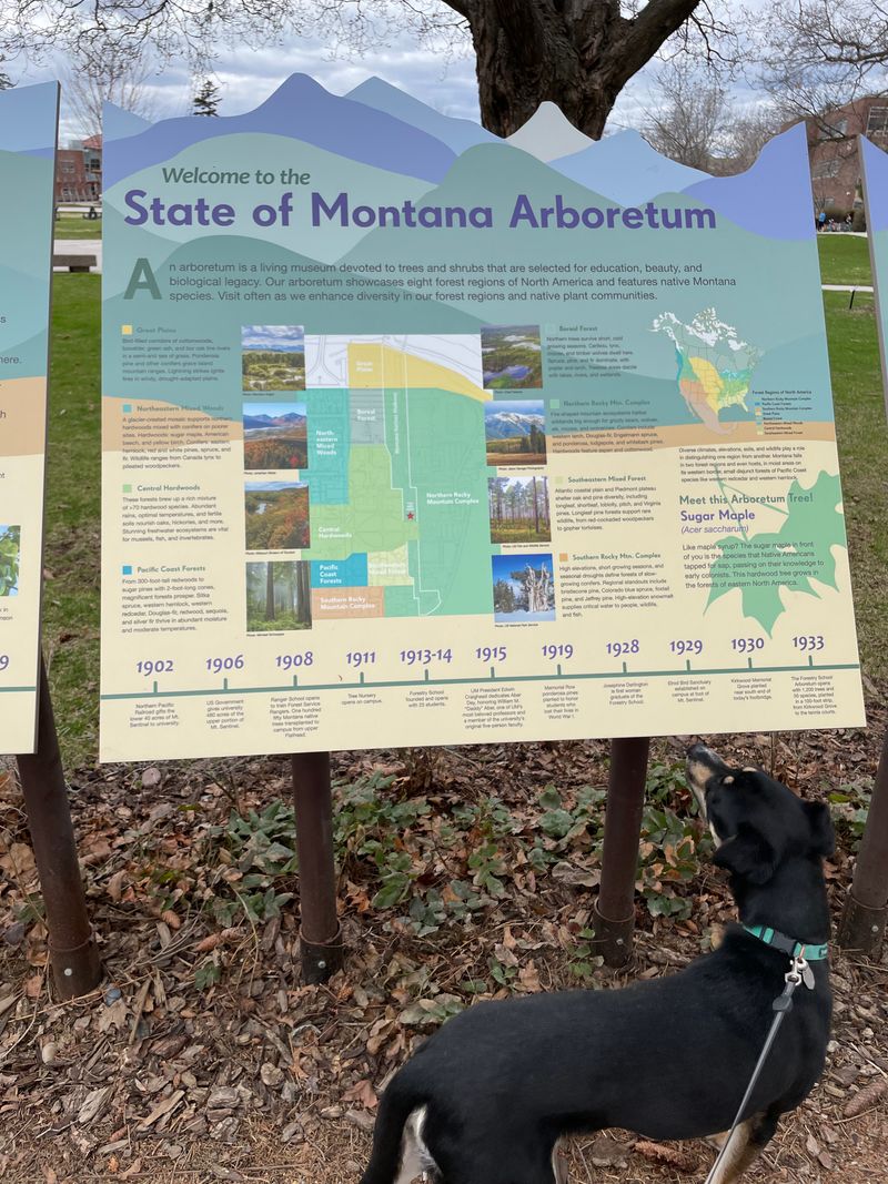 The State Of Montana Arboretum