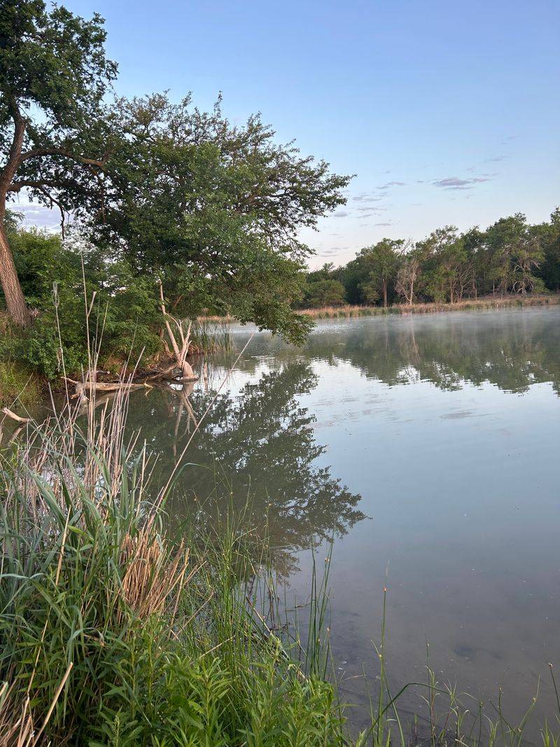 Watch for Native Wildlife Including Turtles and Water Birds