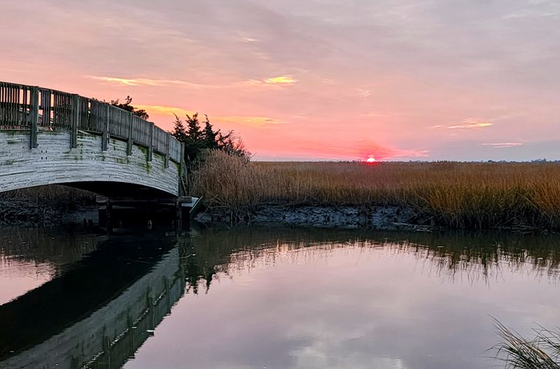 Kayaking Through Winding Water Trails