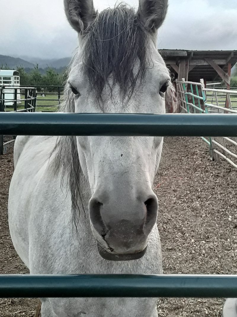 Convenient Location Near Hood River Attractions