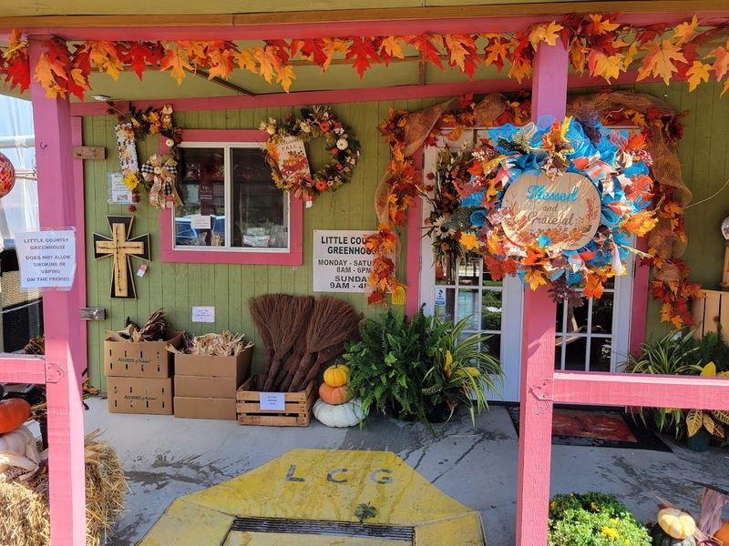 The Country Store And Its Shelf Full Of Sweet Surprises