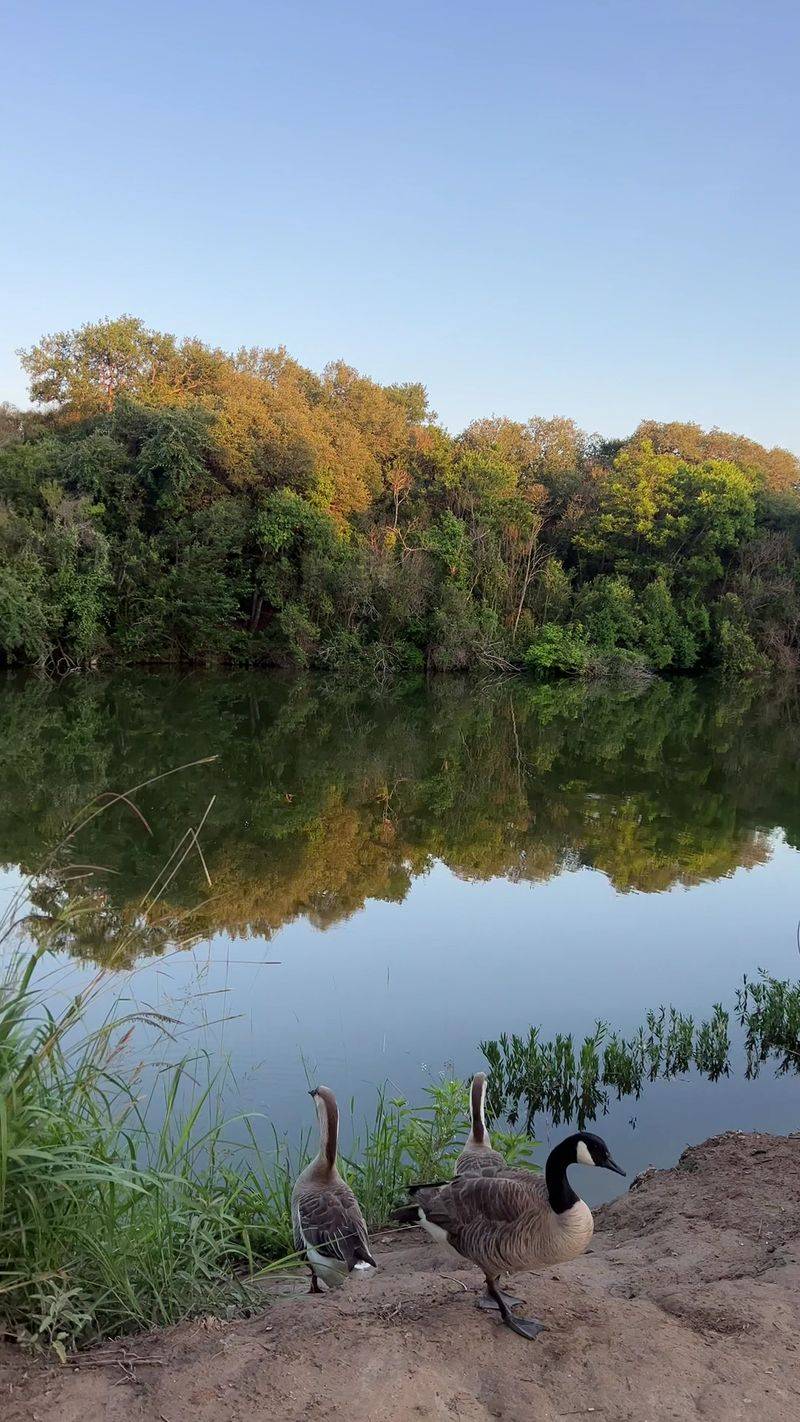 Wildlife Watching and Nature Study