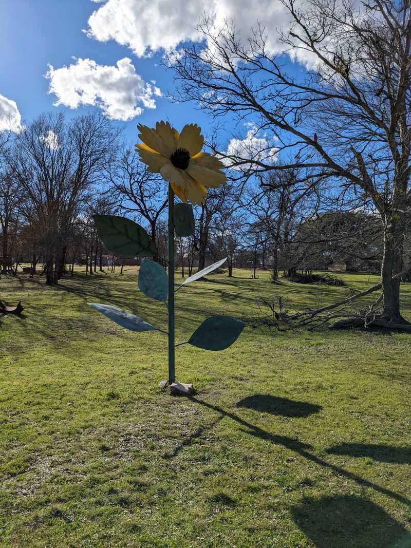 Discovering the Salado Sculpture Garden